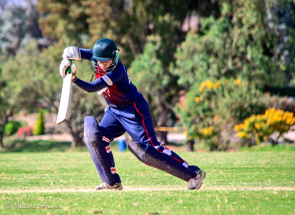 Indian cricket garces