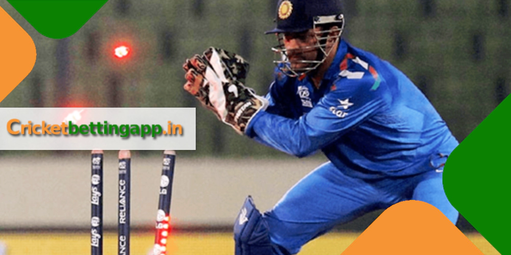Cricket game image