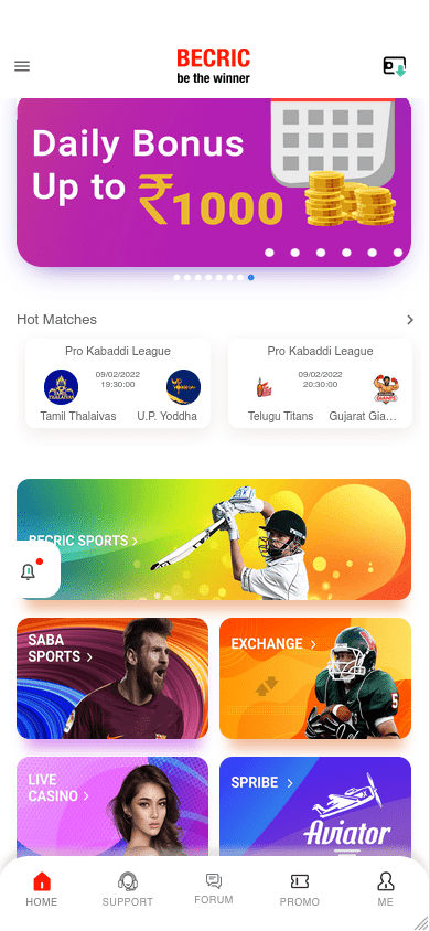 becric app bonus