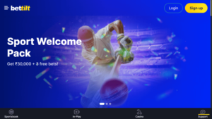 Bettilt app in India, website overview