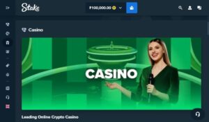 Stake casino website